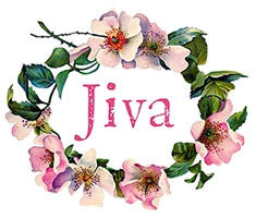 Jiva Clothing